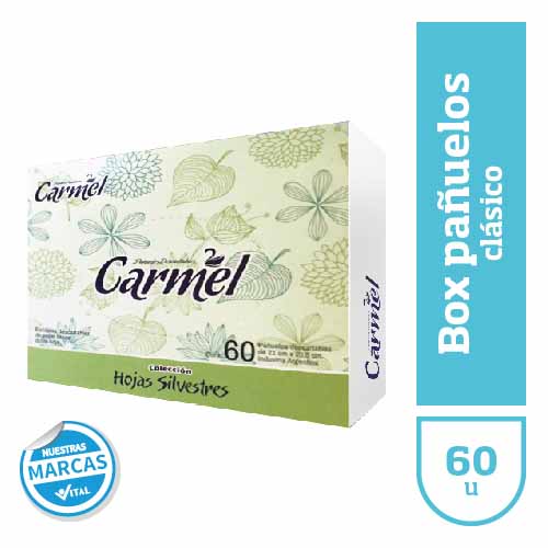 Pañuelos CARMEL clasicos box x60u